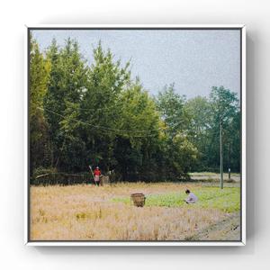 操大姨子逼视频
